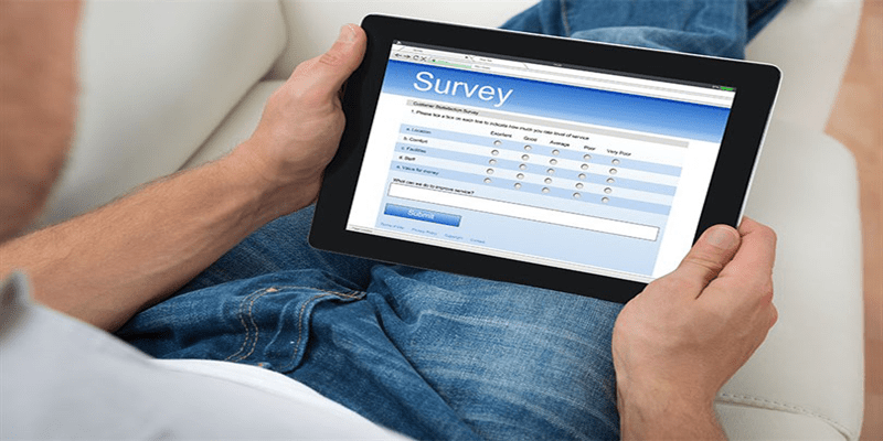 Survey Writing Services